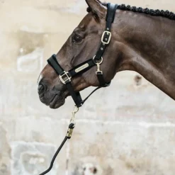 Kentucky Horsewear - Licol Velvet noir