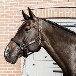 Kentucky Horsewear - Licol anatomique nylon marine