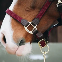 Kentucky Horsewear - Licol nylon tressé bordeaux