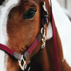 Kentucky Horsewear - Licol nylon tressé bordeaux