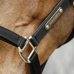 Kentucky Horsewear - Licol anatomique nylon noir