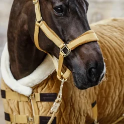 Kentucky Horsewear - Licol Velvet moutarde