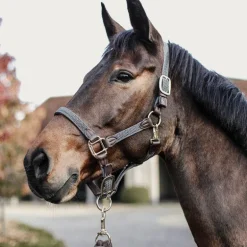 Kentucky Horsewear - Licol cheval nylon tressé gris