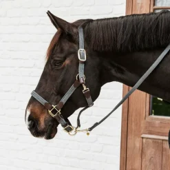 Kentucky Horsewear - Licol cheval nylon tressé gris