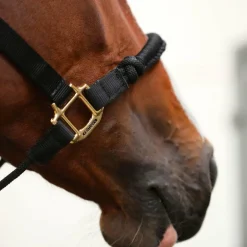 Kentucky Horsewear - Licol cheval Control