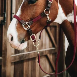 Kentucky Horsewear - Longe nylon tressé bordeaux 2m
