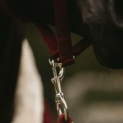 Kentucky Horsewear - Longe nylon 2m bordeaux