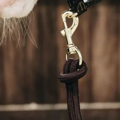 Kentucky Horsewear - Longe avec mousqueton chocolat