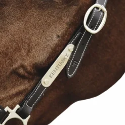 Kentucky Horsewear - Plaque pour licol