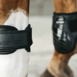 Kentucky Horsewear - Protège-boulets jeunes chevaux noir