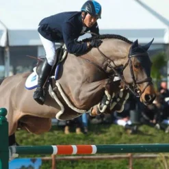 Kentucky Horsewear - Sangle bavette mouton noir