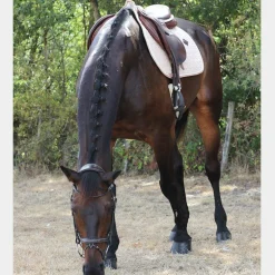 Kentucky Horsewear - Tapis de selle Laine beige