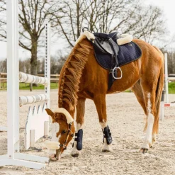 Kentucky Horsewear - Tapis de selle color edition cuir marine pour minis