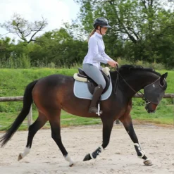 Kentucky Horsewear - Tapis de selle Laine bleu clair