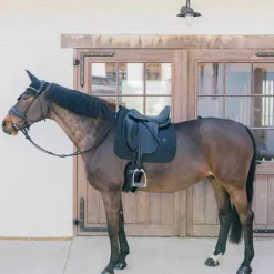 Kentucky Horsewear - Tapis de dressage Metal Chain noir