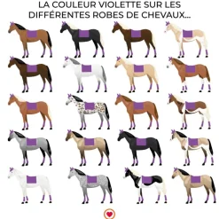 Kentucky Horsewear - Tapis de dressage Velvet Violet