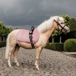 Kentucky Horsewear - Tapis de selle Velvet Jumping Vieux rose pour minis