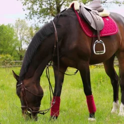 Kentucky Horsewear - Tapis de selle Velvet jumping Fuchsia