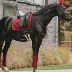 Kentucky Horsewear - Tapis de dressage Velvet bordeaux