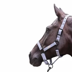 Lami-cell - Licol Midnight bleu ardoise