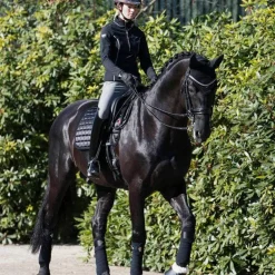 LeMieux - Bandes de polo Loire noir (x4)