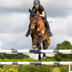 LeMieux - Bonnet pour chevaux long Puissance noir
