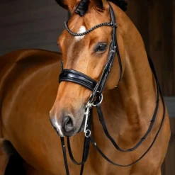 LeMieux - Bride Kudos noir