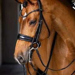 LeMieux - Bride Kudos noir