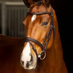 LeMieux - Bridon Arika Flash marron/ argent