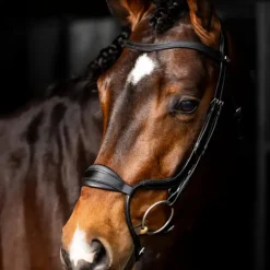 LeMieux - Bridon Arika muserolle anatomique noir/ argent