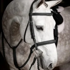 LeMieux - Bridon avec rênes Hunter noir/ argent