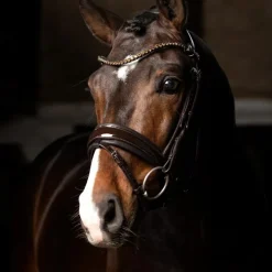 LeMieux - Bridon de dressage Kudos Patent marron