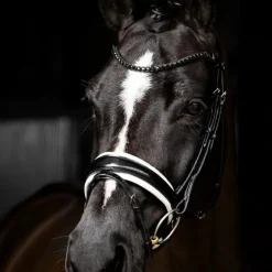 LeMieux - Bridon de dressage Kudos Patent noir/ blanc