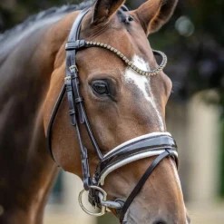 LeMieux - Bridon de dressage Kudos Patent marron/ blanc