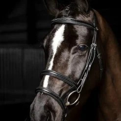 LeMieux - Bridon double muserolle Kudos noir/ argent