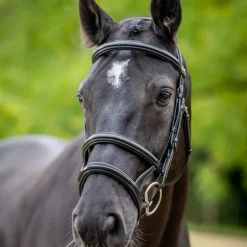 LeMieux - Bridon double muserolle Kudos noir/ argent