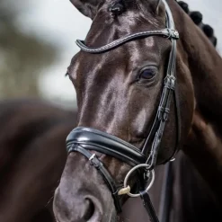 LeMieux - Bridon Kudos Classic Dressage noir