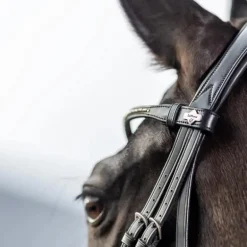 LeMieux - Bridon Kudos Classic Dressage noir