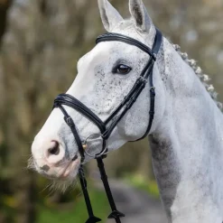 LeMieux - Bridon Kudos Competition Flash noir