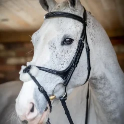 LeMieux - Bridon Kudos Grackle muserolle croisée noir