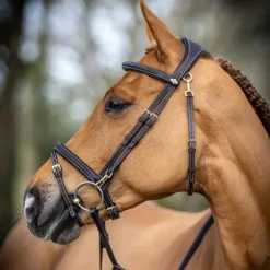 LeMieux - Bridon Kudos Work marron