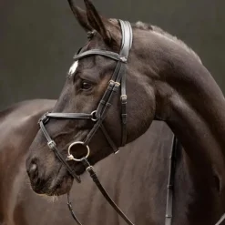 LeMieux - Bridon muserolle croisée Arika noir/ argent