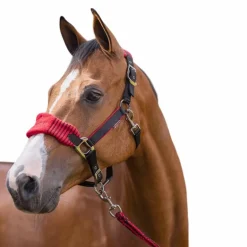 LeMieux - Ensemble licol + longe Vogue noir/ rouge