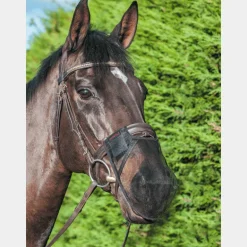 LeMieux - Filet protège naseaux marron
