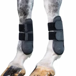 LeMieux - Guêtres ouvertes tendons Capella noir