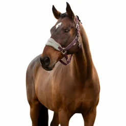 LeMieux - Licol et longe Vogue damson