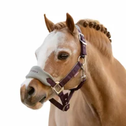 LeMieux - Licol et longe Vogue damson