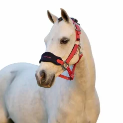 LeMieux - Licol et longe Vogue cranberry