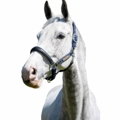 LeMieux - Licol pour chevaux Capella marine