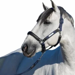 LeMieux - Licol pour chevaux Capella marine